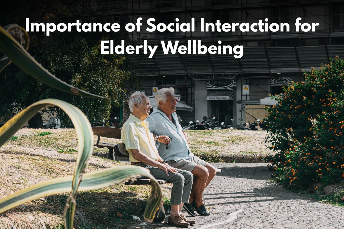 Importance of Social Interaction for Elderly Wellbeing